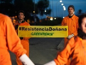 Activistas de Greenpeace llevan 24 horas encadenados en Doñana