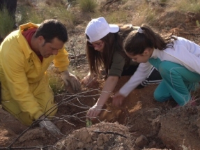 El proyecto Bosque de Red Eléctrica cumple diez años