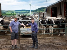 PV System Powers Expansion of Top Dairy Business in Wales