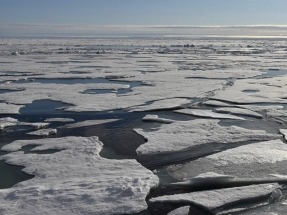  Los cada vez más recalentados océanos hacen sonar la alarma 