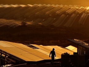 Iberdrola pone en marcha su primera planta fotovoltaica en la Región de Murcia de 50 MW