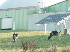 Collares inteligentes para las vacas, nebulizadores a modo de aire acondicionado, placas solares que "recogen" agua de lluvia