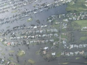 Florida prohíbe la eólica marina en sus aguas y pega un carpetazo a la lucha contra el cambio climático 