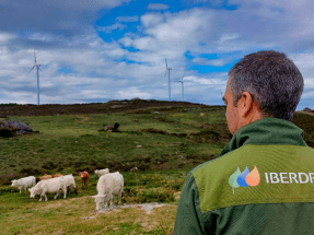 Premios Iberdrola Convive