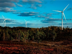 Año 2020: Iberdrola inaugura su primer parque solar fotovoltaico en Andalucía