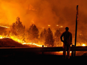 California ofrece incentivos adicionales a la solar y al almacenamiento a raíz de los incendios