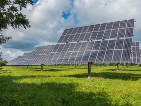 El Gobierno acuerda la adhesión de España a la Alianza Solar Internacional