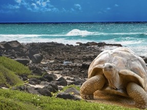 El 100% de la electricidad de Galápagos será generada con renovables para 2040