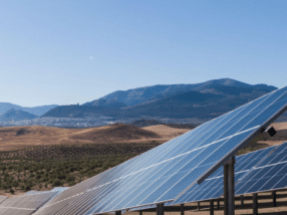 BNZ inicia la construcción de una planta fotovoltaica de 34,5 MW en Jaén