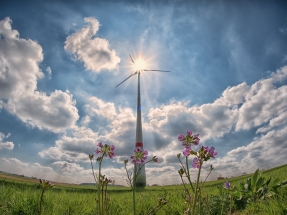 La energía renovable es más rentable que nunca antes