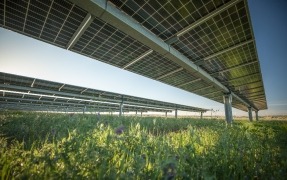 Lightsource bp obtiene el visto bueno medioambiental para 19 proyectos solares y 1.620 MW