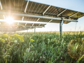 Lightsource bp and INSUN Partner on Solar Projects in Portugal 