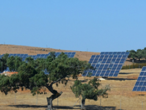 OPDEnergy y Marguerite firman la financiación de 150 MW fotovoltaicos