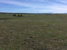 FRV ya cuenta con la financiación necesaria para poner en marcha en Trujillo el campo fotovoltaico de La Solanilla