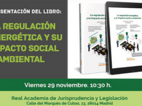 Anpier aborda la regulación energética y su impacto social y ambiental en un nuevo libro