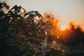 Un proyecto europeo utiliza la termosolar para producir combustibles renovables