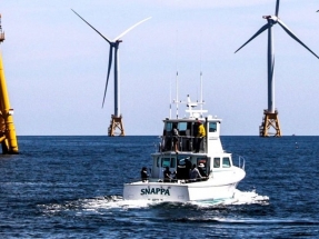 Dos alumnas de Eibar, becadas por el prestigioso Master Renewable Energy in the Marine environment