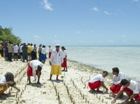 El Comité de Derechos Humanos de la ONU abre la puerta a las solicitudes de asilo por cambio climático