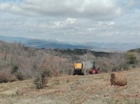 ¿Se le puede sacar provecho a los matorrales?