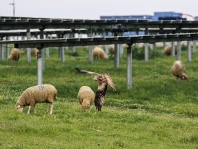 UNEF estará presente en el Conama bajo el lema "la fotovoltaica, una oportunidad para la biodiversidad"