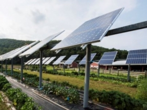 Dominion Energy Acquires Two Solar Projects in Virginia