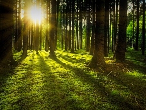 Wood Pellet Exports from US Topic of New Study