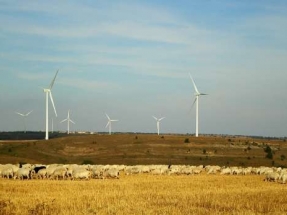 La Asociación de Promotores de Energía Eólica de Castilla y León, premiada por su trayectoria