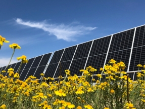 Nestlé Invests in Texas Solar Project