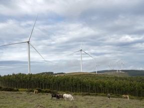 España 2020, el país con 110.000 megavatios de potencia eléctrica y un máximo de demanda de 40.000