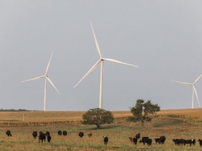 Ørsted and POSCO Sign MoU to Collaborate on Wind and Hydrogen in Korea