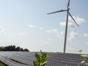 Co-Op Offering Low-Interest Loans to Farms for Clean Energy Investments