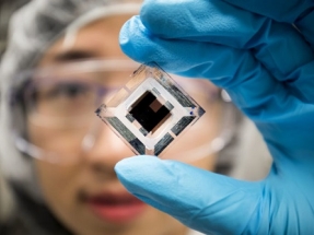 Organic Solar Cells Reach Record Efficiency