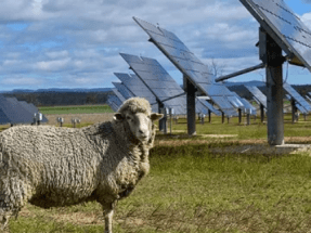 BayWa transforma bases militares francesas en dos complejos fotovoltaicos que suman 136 MW