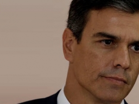 Pedro Sánchez se reúne hoy con las organizaciones ecologistas