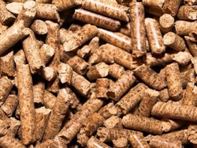 Alemania certifica 3,3 millones de toneladas de pellets en 2021