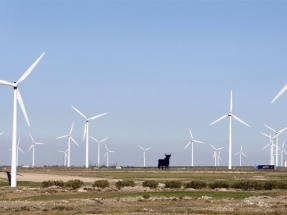El Gobierno de Aragón está tramitando 4.000 megavatios eólicos y 650 fotovoltaicos