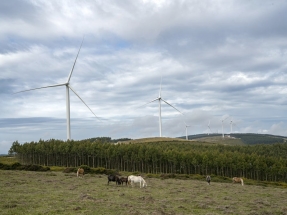 Los seis nuevos parques de Novento en Lugo ya están en operación