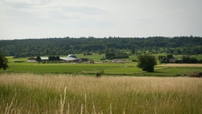 ¿Cuándo pensaremos en verde?