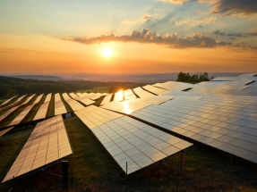 El país en el que la Administración tarda hasta 4 años en tramitar un parque solar