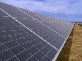 La planta solar Olivares de Matrix Renewables de 50 MW inicia su operación