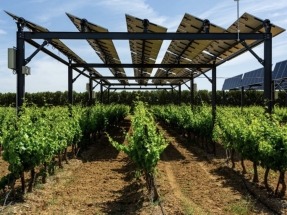 Solargreen construirá en Colombia una planta solar de 180 MW, la mitad de ella agrovoltaica