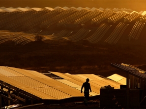 Iberdrola instala su primera planta fotovoltaica en Burgos