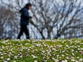 El "informe climático" del invierno 2019 de la Agencia Estatal de Meteorología, lleno de alertas