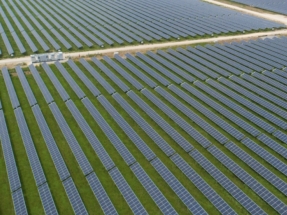 La segunda planta solar más grande de México tiene 300 megavatios de potencia
