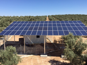 Seis razones para llevar la energía del sol a las explotaciones agrícolas