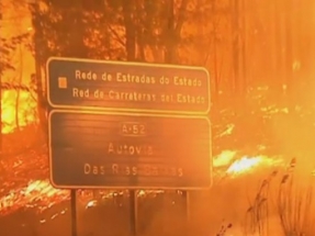 La política forestal y el deterioro climático, factores clave en los incendios de Galicia