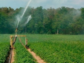 Extremadura subvencionará con hasta 750.000 euros proyectos de regadío que utilicen energías renovables