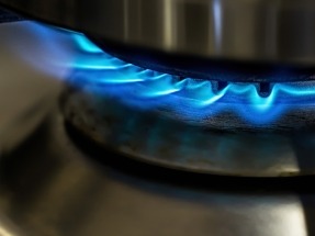 Biomass Strategy Offers Energy Lifeline for Off-Grid Homes