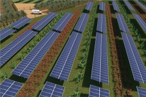 SENS aúna producción energética y agrícola en un nuevo parque fotovoltaico de Sicilia de 135 MW