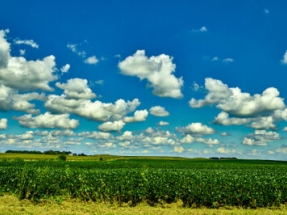 Continental Refining to Repurpose Refinery to Create Biofuel Facility in Kentucky